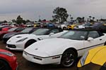 [PICS] The Corvette Vanity Plates from the 2016 Twelve Hours of Sebring