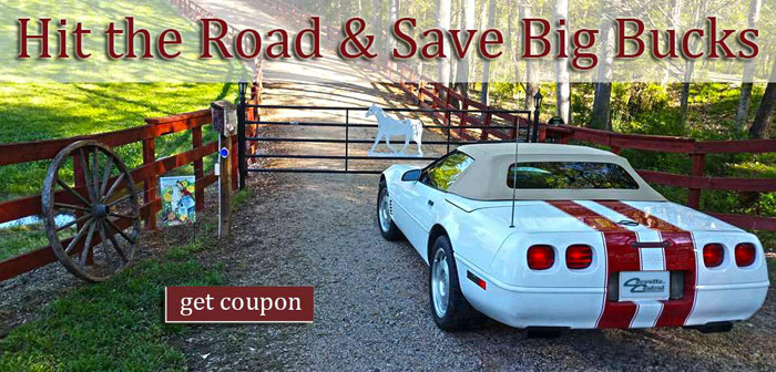 Corvette Central Reminds Us that Moms Love Corvettes and Free Shipping