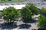  [PICS] The 2016 Bloomington Gold Corvette Show