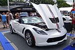 [PICS] Corvettes Galore at the 2016 Woodward Dream Cruise