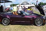 [PICS] The 2016 Corvettes at Carlisle Show