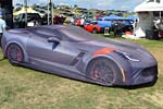 [PICS] The 2016 Corvettes at Carlisle Show