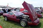 [PICS] The 2016 Corvettes at Carlisle Show