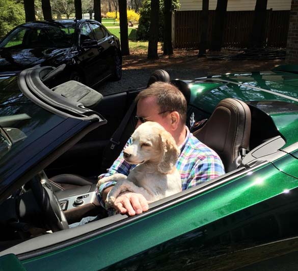 Vettes and Pets!