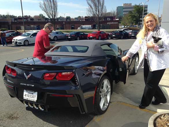 Vettes and Pets!