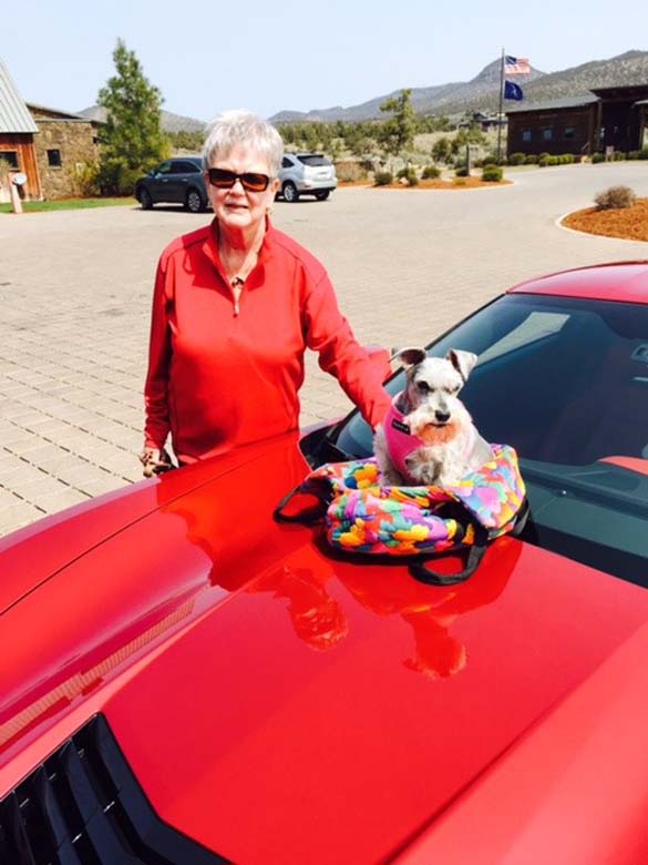 Vettes and Pets!