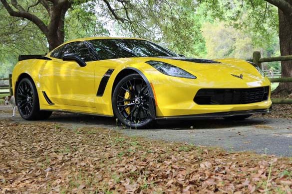 Vettes and Pets!