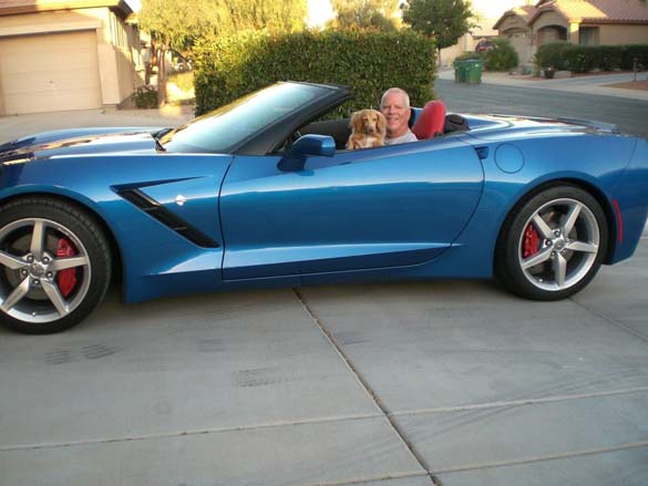 Vettes and Pets!
