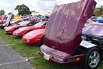 [PICS] The 2017 Corvettes at Carlisle Show