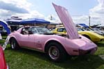 [PICS] The 2017 Corvettes at Carlisle Show