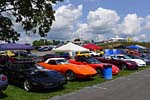 [PICS] The 2017 Corvettes at Carlisle Show