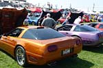[PICS] The 2017 Corvettes at Carlisle Show