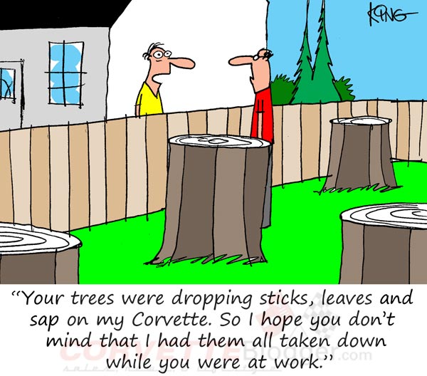Saturday Morning Corvette Comic: Corvette Owners Make Good Neighbors