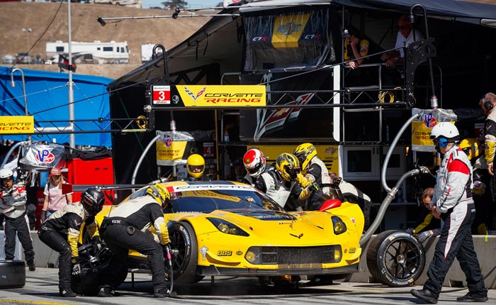 Corvette Racing: In Their Own Words - Antonio Garcia and Jan Magnussen