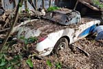 1959 Corvette Found Under the Remains of a Florida Lean-To Shed