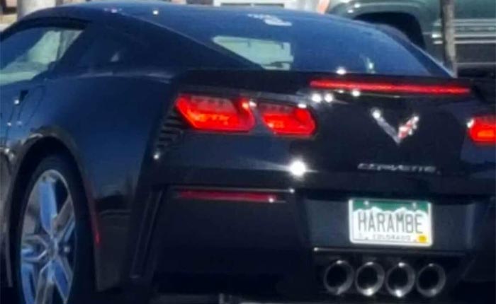 [PICS] Sad Observation about a Corvette Vanity Plate