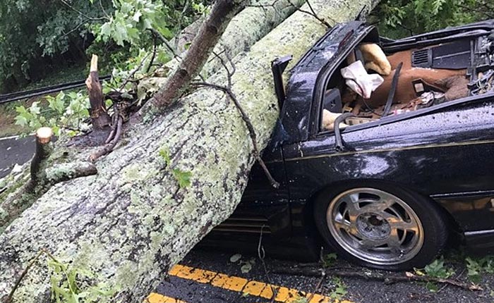 [ACCIDENT] Corvette Driver Injured after a Tree Falls on His C4 Corvette