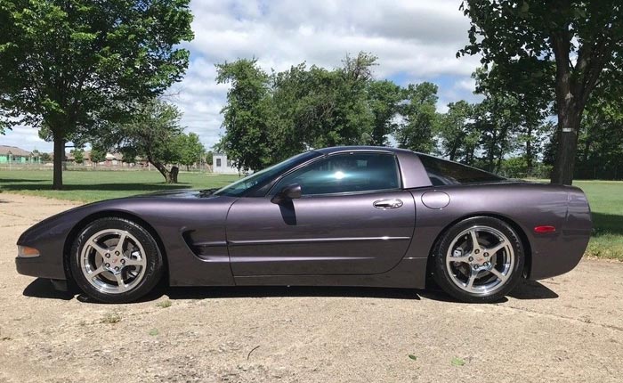 Corvettes on eBay: 1998 Corvette in Rare Medium Purple Pearl Metallic