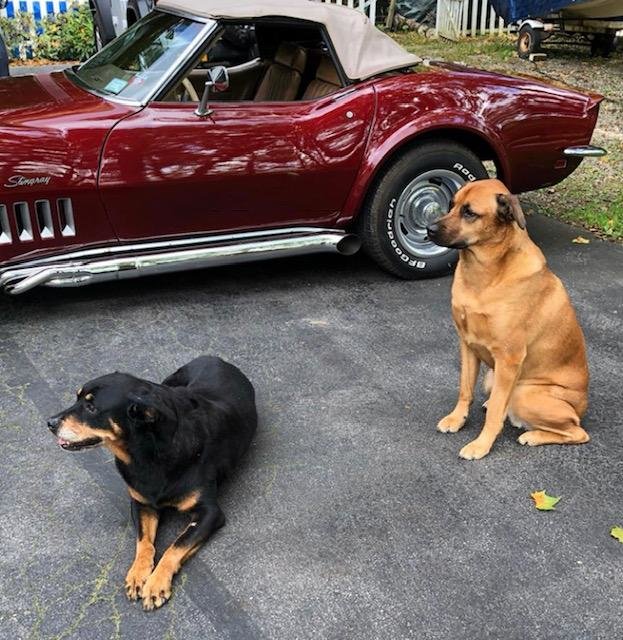 Corvette Deliveries with Mike Furman