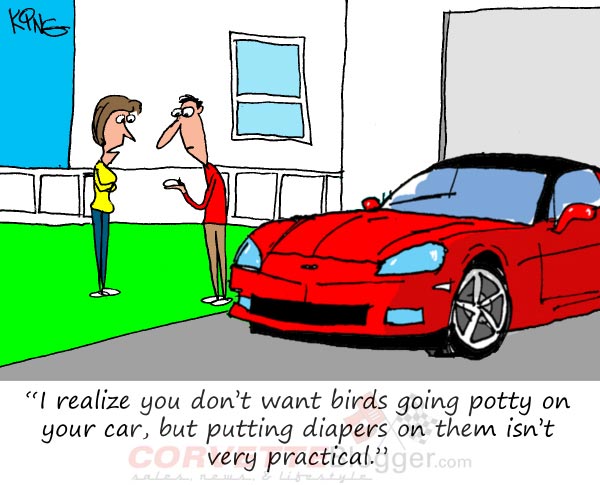 Saturday Morning Corvette Comic: The Lengths That Corvette Owners Will Go
