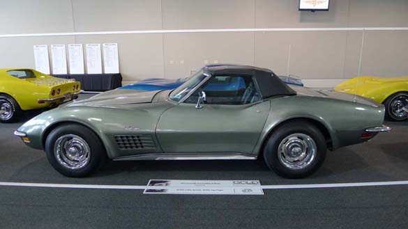 Shark Attack! It's Bloomington Gold's 2019 Gold Collection