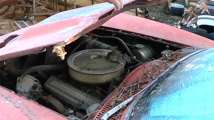 [VIDEO] 1966 Corvette Barn Find with a 327 'Mouse' Motor