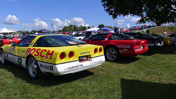 [PICS] The Corvette Racers on Display at Corvettes at Carlisle