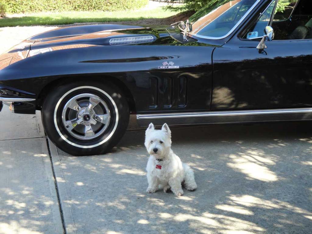Corvette Deliveries with Mike Furman