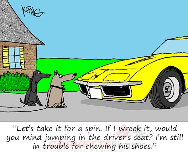 Saturday Morning Corvette Comic: The Secret Dreams of Pets