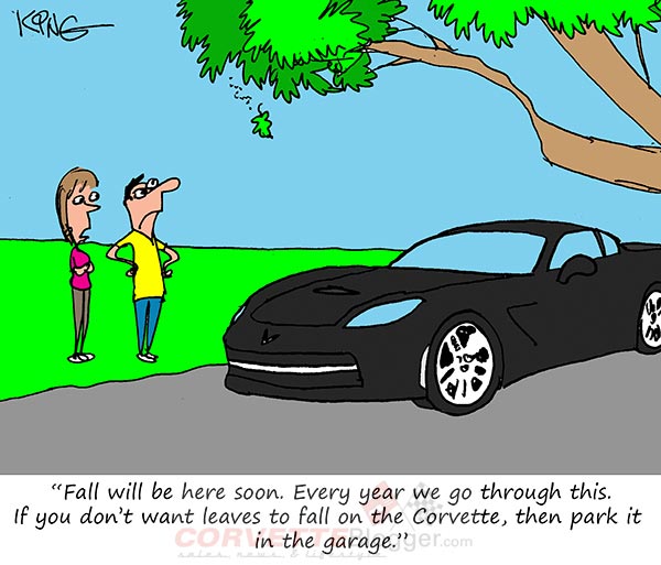 Saturday Morning Corvette Comic: Fall is In the Air