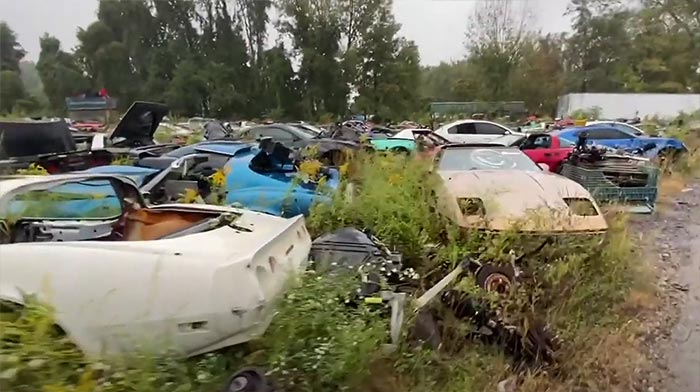 [VIDEO] Corvette Salvage Yard Helps Wrecked Corvettes Find New Life