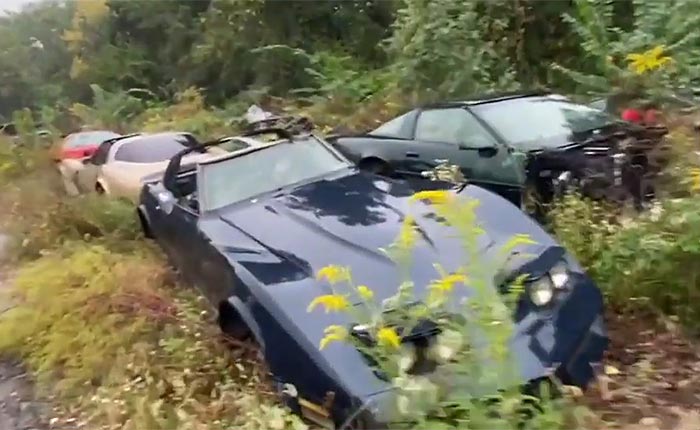 [VIDEO] Corvette Salvage Yard Helps Wrecked Corvettes Find New Life