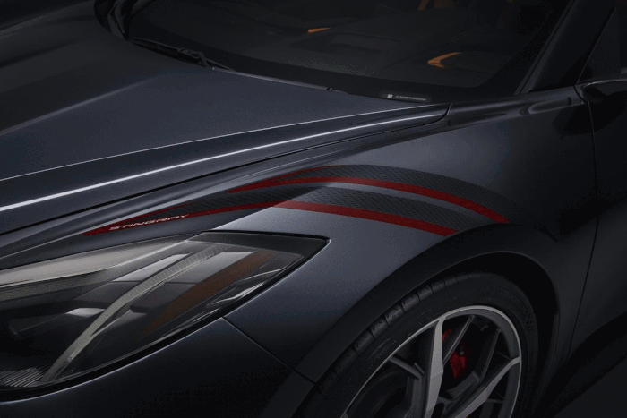 [PICS] The Hash Marks on the 2020 Corvette Are Made Up of Tiny C8 Logos