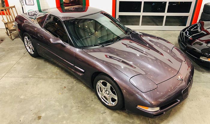 Corvettes for Sale: Rare 1998 Corvette In Medium Purple Pearl Metallic