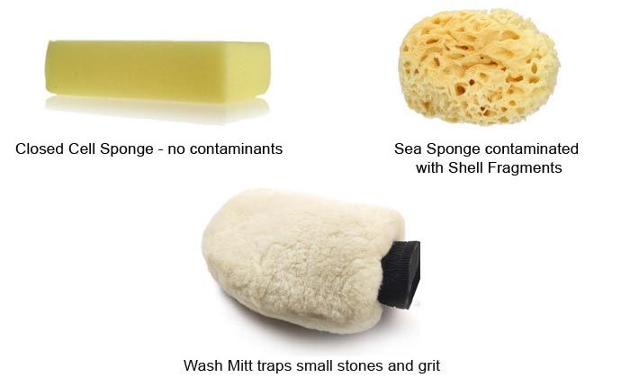 The Sponge