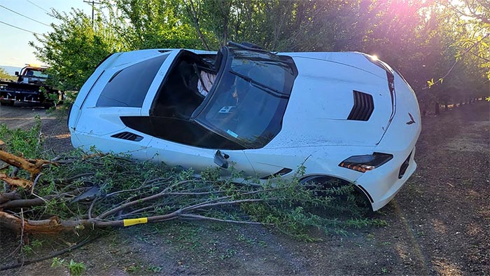 [ACCIDENT] How Did This C7 Corvette End Up In a Tree?