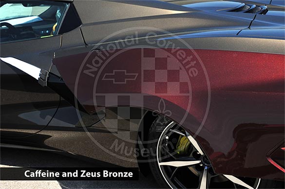 Caffeine and Zeus Bronze