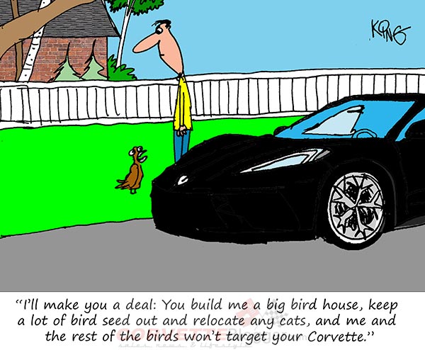 Saturday Morning Corvette Comic: Paint Protection Racket