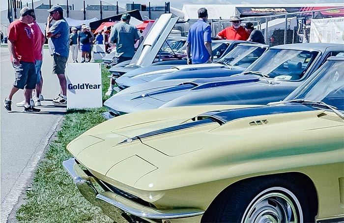 Bloomington Gold Heading Back Home to Celebrate its 50th Anniversary