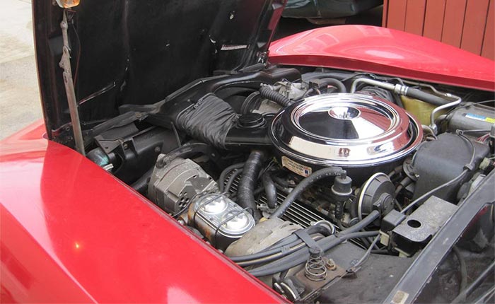 Corvettes for Sale: 43K-Mile 1981 Has Been Garaged Sinced 1987