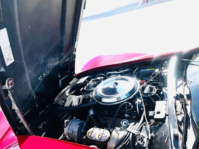 Corvettes for Sale: Grandfather's 9K-Mile 1981 Corvette Offered for $10,500