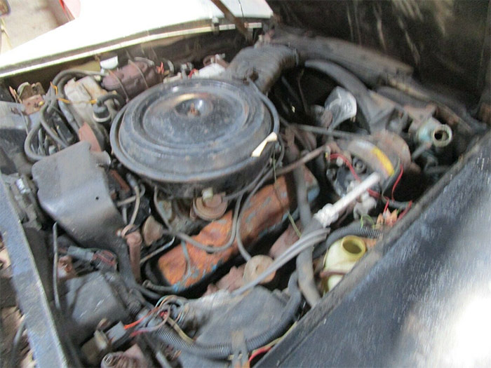 Corvettes for Sale: Barn Find 1978 Corvette Indy 500 Pace Car