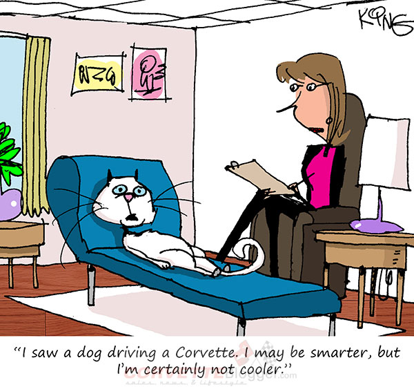 Saturday Morning Corvette Comic: Be the Cool Cat