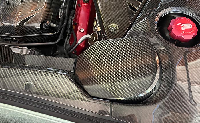 Corvette C8 Carbon Fiber Rear Strut Covers
