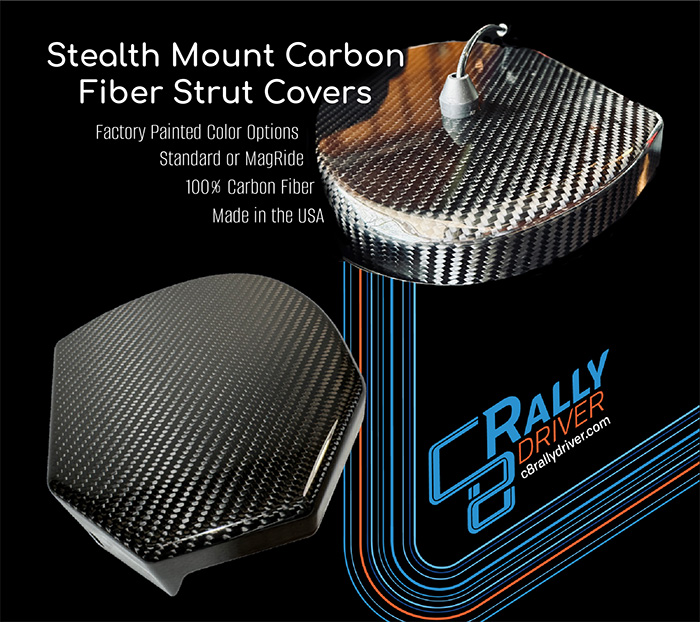 Stealth-Mount Carbon Fiber Rear Strut Covers
