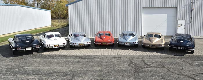 The Split Window Colorama Collection