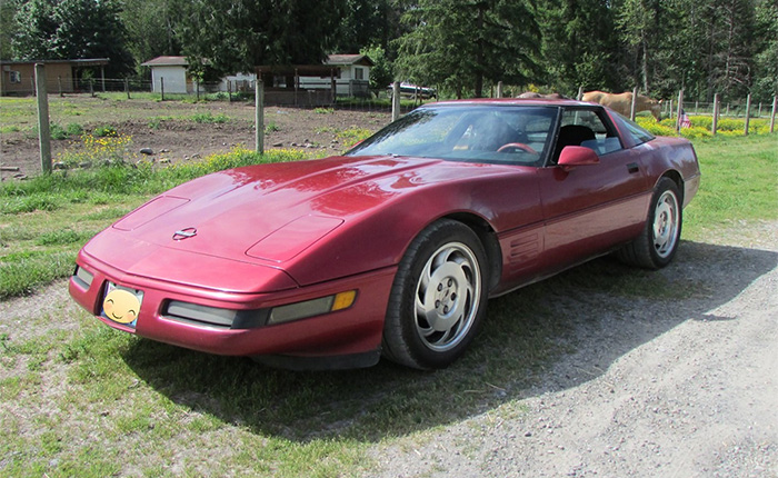 [RIDES] Carol's 1994 Corvette Has 429K Miles on the Odometer