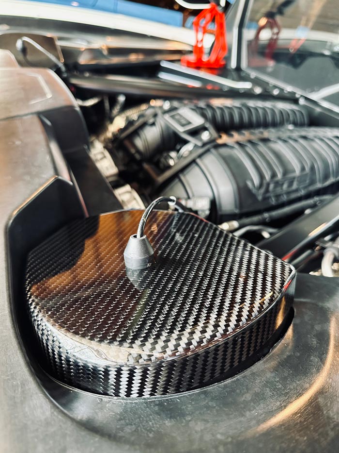 Carbon Fiber Rear Strut Covers