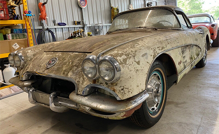 Corvettes for Sale: Mossy-Covered 1959 Corvette Project on eBay
