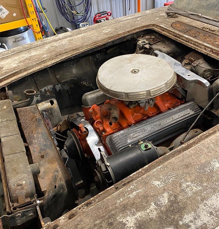 Corvettes for Sale: Mossy-Covered 1959 Corvette Project on eBay